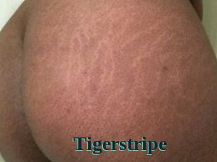 Tigerstripe