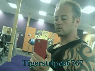 Tigerstripes6767