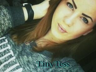 TinyTess