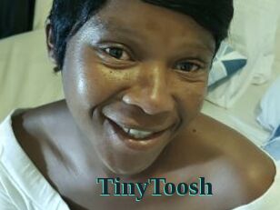 TinyToosh