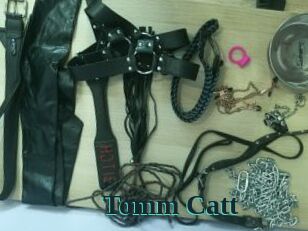 Tomm_Catt