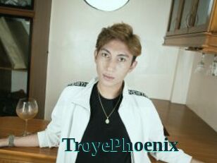TroyePhoenix
