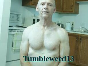 Tumbleweed13 Melody Melons