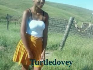 Turtledovey
