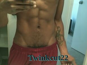 Twinkcut22 Melody Melons