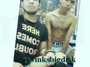 Twinksbigdick