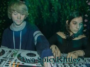 Two_SpicyKitties