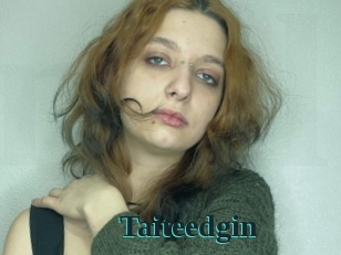 Taiteedgin
