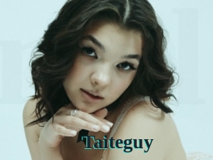 Taiteguy