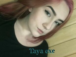 Taya_exe