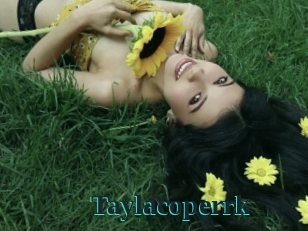 taylacoperrk Melody Melons