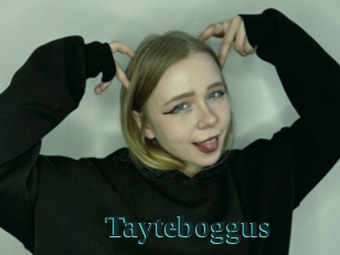Tayteboggus