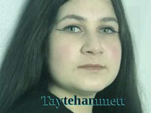 Taytehammett