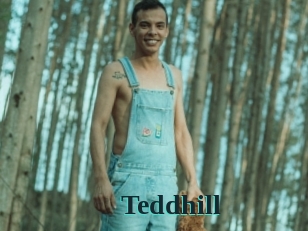 Teddhill