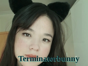 Terminatorbunny