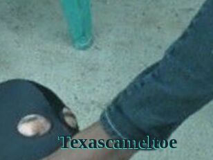 Texascameltoe