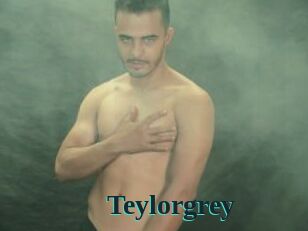 Teylorgrey