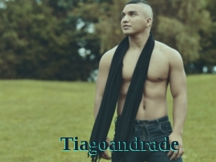 tiagoandrade Melody Melons