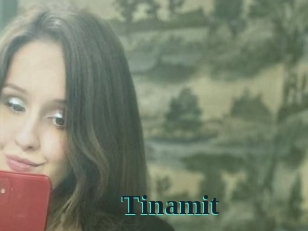 Tinamit