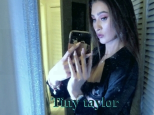 Tiny_taylor