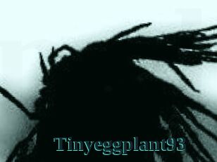 Tinyeggplant93