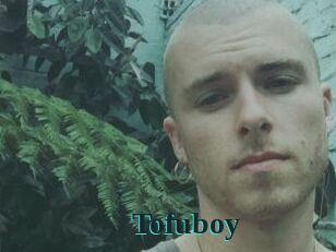Tofu_boy