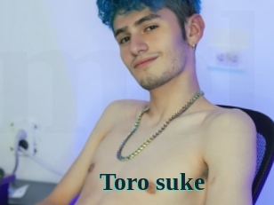 Toro_suke