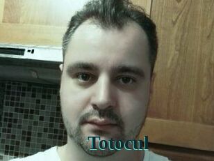 Totocul