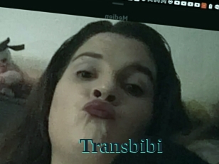 Transbibi