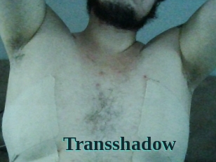 Transshadow