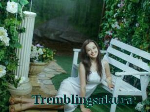 Tremblingsakura