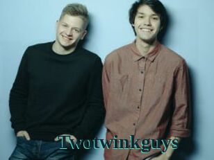 Twotwinkguys