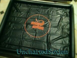 UnchartedSexion