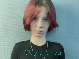 Udelehallett