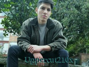 Uppercut210x