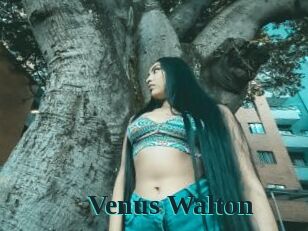 Venus_Walton