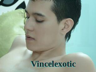 Vincelexotic