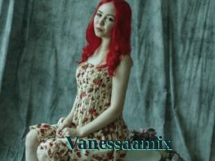 Vanessaamix