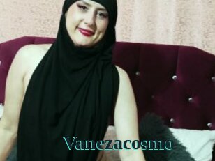 Vanezacosmo