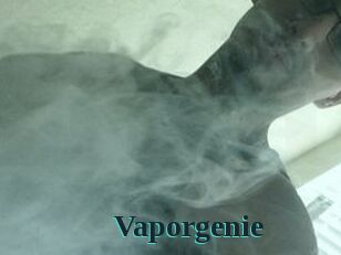 Vapor_genie