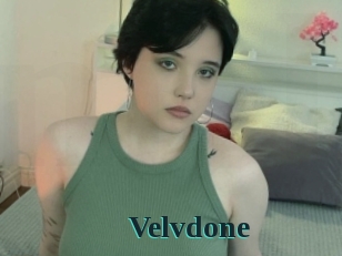 Velvdone