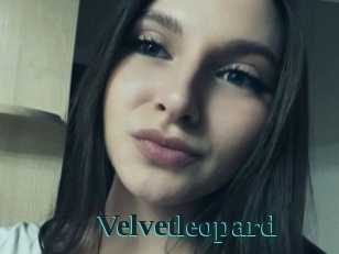 Velvetleopard