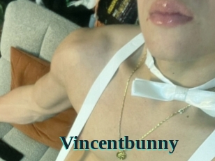 Vincentbunny