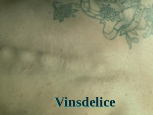 Vinsdelice