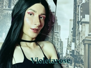 Violetarose