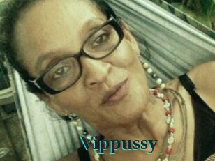 Vippussy