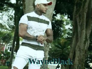 WayneBlack Melody Melons