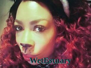 WetEstuary
