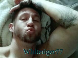Whitetiger77
