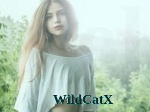 Wild_CatX